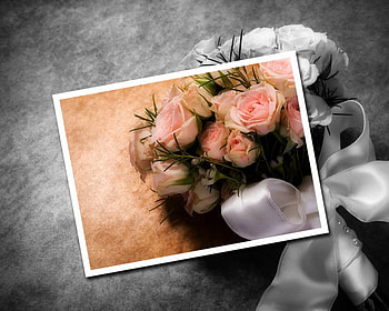 Roses, flowers, 3d HD wallpaper