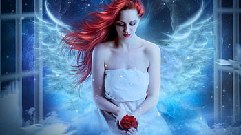 Angel, rose, fantasy, art, Love, woman, beauty HD wallpaper