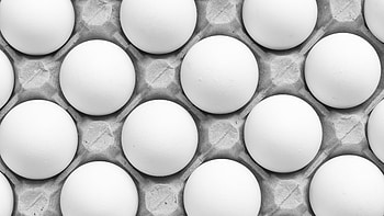 Eggs in a Carton, egg HD wallpaper