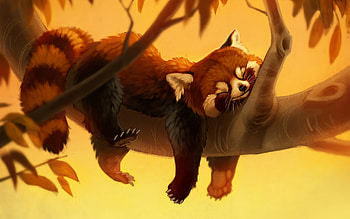 Red panda sleeping, animal, red panda, art, fantasy, yellow, amelia bothe, orange, sleep, nap HD wallpaper