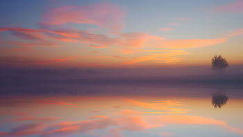 Tranquil sunrise with colorful sky reflecting over calm waters and a lone tree. HD wallpaper