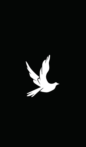 Pigeon, ardtun, güvercin, kuş HD phone wallpaper