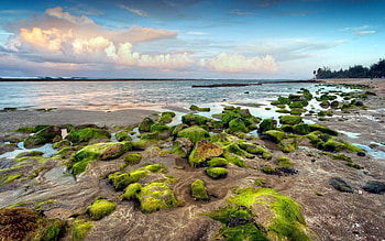 Nature, Sky, Sea, Shore, Bank, Vegetation, Relief, Moss, Rocky, Stony HD wallpaper
