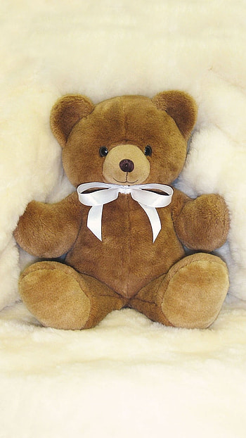 Teddy Bear Live, Toy Aesthetic HD phone wallpaper