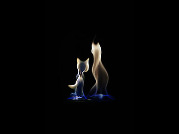 Pet Flames, cool HD wallpaper
