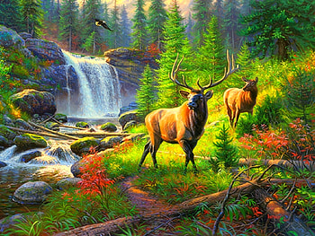 deers on waterfall, waterfall, forest, deer, animals HD wallpaper