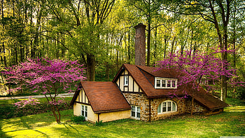 Forest House, Houses HD wallpaper