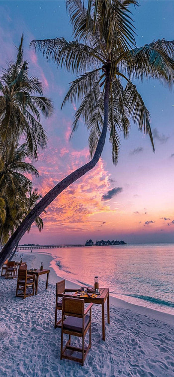 Zanzibar , Stunning visuals, Island paradise, Beach getaway HD phone wallpaper