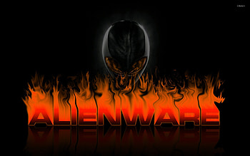 Alienware 2560 X 1440 - afari HD wallpaper