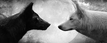Animal Dual Screen , Dog Dual Monitor HD wallpaper