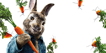 Peter Rabbit , peter-rabbit, 2018-movies, animated-movies, movies, rabbit HD wallpaper