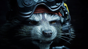 Mr. Fursblack, Rocket Raccoon HD wallpaper
