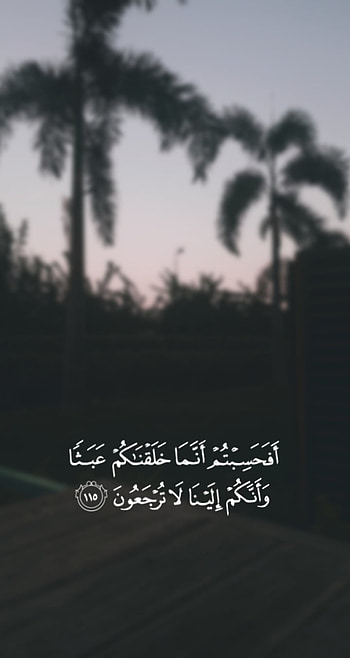 Qur'an, sky, Ayat, nature, palm, Quran, Islamic HD phone wallpaper