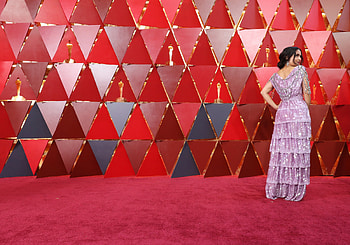 Bold statements, Oscars red carpet, Boston Globe HD wallpaper