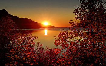 Nature, Sunset, Autumn, Leaves, Mountain, Branches HD wallpaper