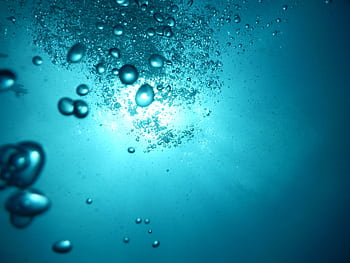 Tranquil underwater scene with bubbles illuminated by sunlight, showcasing peaceful aquatic life. HD wallpaper