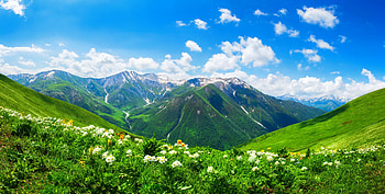 Svanety, Georgia, hills, beautiful, Georgiam wildflowers, grass, Europe, mountain, view, greenery, sky HD wallpaper