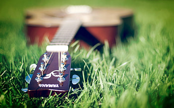 Music, Grass, Tools, Guitars HD wallpaper