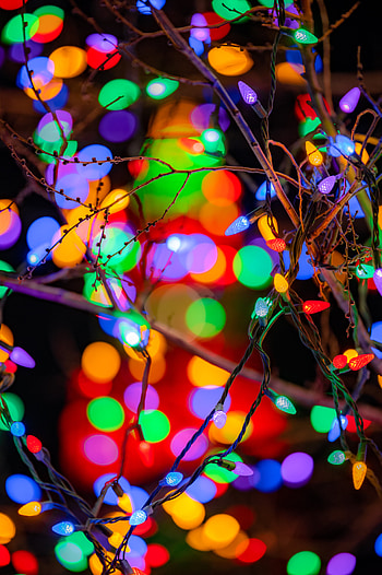 Holidays, Lights, Multicolored, Motley, Branches, Garland, Garlands, Festive HD phone wallpaper