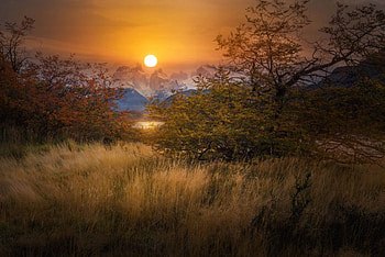 Sunset, nature, sun, tree HD wallpaper