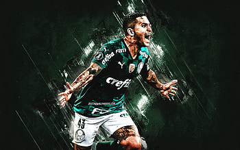 Dudu, Palmeiras, Brazilian Footballer, Midfielder, Green Stone Background, Serie A, Football HD wallpaper