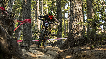 Sports, Forest, Bicycle, Cyclist HD wallpaper