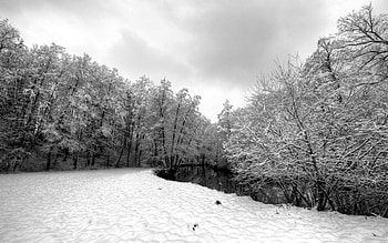 winter scene, winter, scene HD wallpaper
