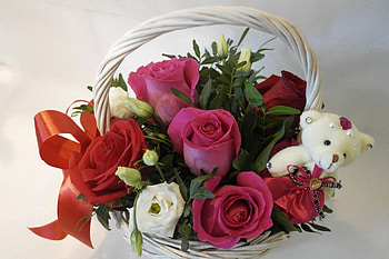 *** For you with love ***, roses, bear, teddy, flower, nature, flowers HD wallpaper