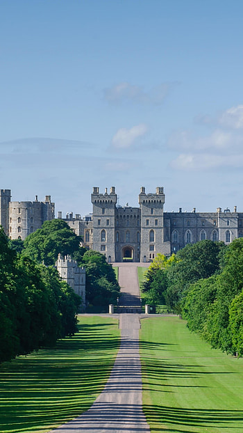 Panoramic view, Long Walk, British landscape, Windsor Castle HD phone wallpaper