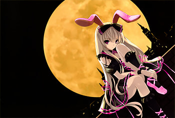 Kuroya Shinobu, night, grey hair, full moon, bunnygirl, misaki kurehito, girl, cute sexy, long hair, anime, animal ears, pink eyes HD wallpaper