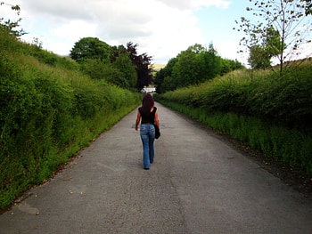 walk this way, trees, girl, pathway, countryside HD wallpaper