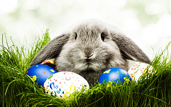 Easter, Holiday HD wallpaper