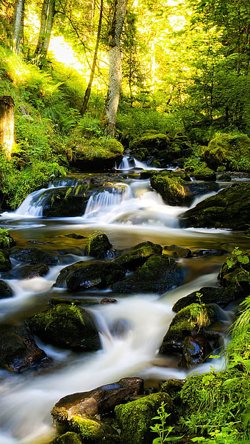 Majestic waterfall, Enchanting forest, Tranquil scenery, Long exposure HD phone wallpaper