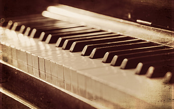 Monochrome beauty, Majestic instrument, Melodic compositions, Artistic expressions HD wallpaper