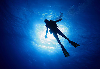 Diving program, Dive into adventure, Underwater exploration, Diving escapades HD wallpaper