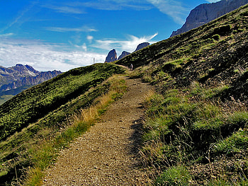 On the path of the memories, path HD wallpaper