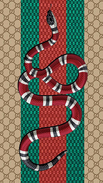 Kingsnake, Gucci HD phone wallpaper