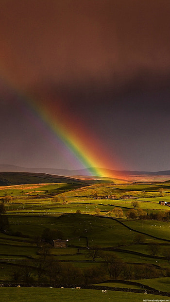 spring sky rainbow hill 6 HD phone wallpaper