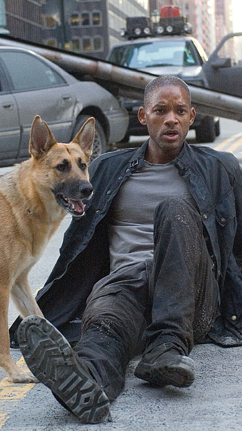 I Am Legend movie, Suspenseful atmosphere, Astonishing visuals, Gripping plot HD phone wallpaper