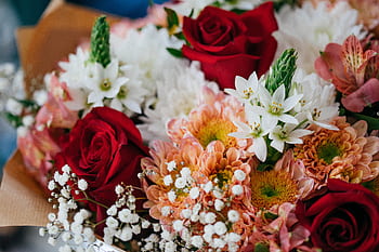 A colorful bouquet featuring red roses, white star of Bethlehem, and chrysanthemums. HD wallpaper