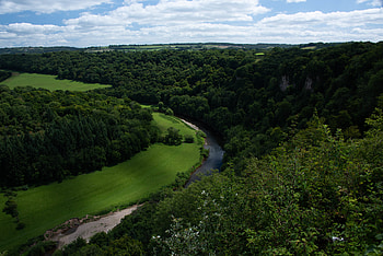 Nature, Rivers, Trees, Bush, Winding, Sinuous HD wallpaper