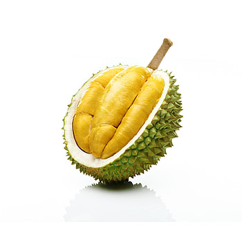 King of Durian fruit, Premium product, Fresh and delectable, Wholesale option HD phone wallpaper
