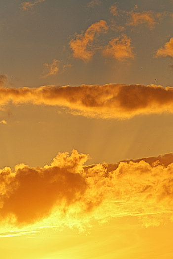Nature, Sunset, Sky, Clouds, Gold, Golden HD phone wallpaper