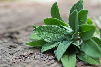 Sage and weight loss, Dietary supplement, Natural slimming, Metabolism booster HD wallpaper