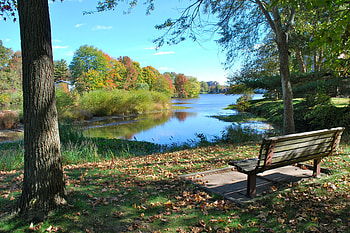 autumn bench, trees, bench, nature, water HD wallpaper