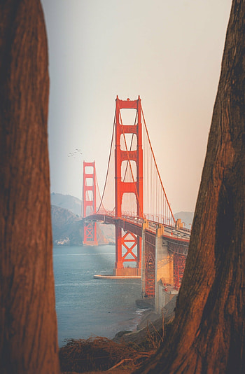 Golden Gate Bridge, San Francisco HD phone wallpaper