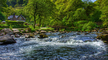 East Lyn River, Exmoor, England, rocks, water, stones, landscape, trees, forest HD wallpaper