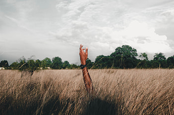 Grass, Clouds, Hand, Miscellanea, Miscellaneous, Field HD wallpaper