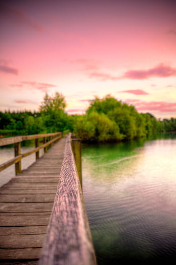 Serene view of a wooden bridge spanning a tranquil lake during a vibrant summer sunset. HD phone wallpaper