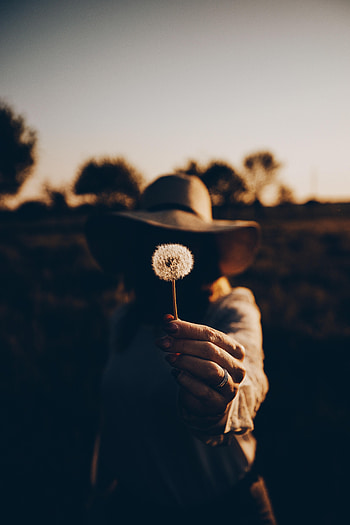 Dark, Hand, Miscellanea, Miscellaneous, Girl, Dandelion HD phone wallpaper